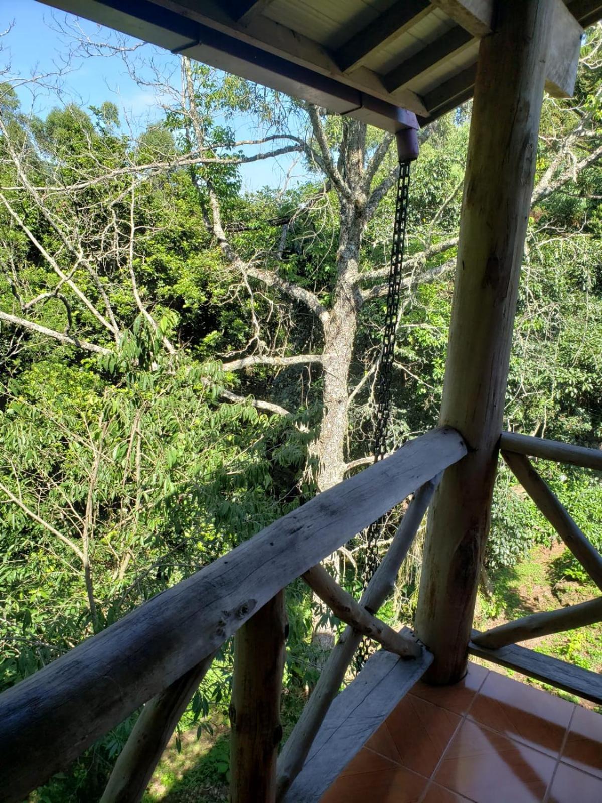 Pousada Da Chacara Nova Petropolis Zewnętrze zdjęcie
